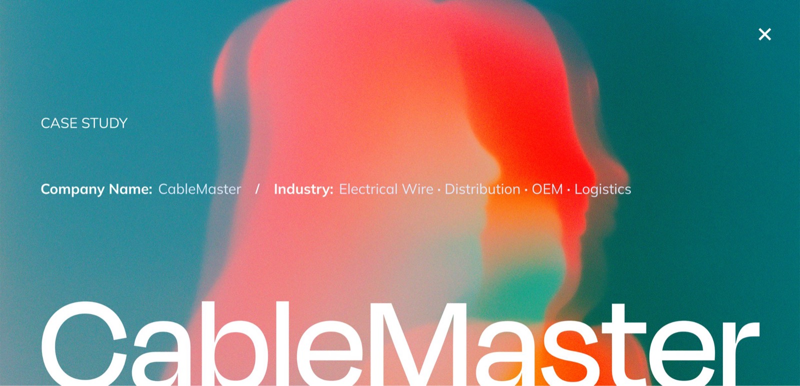 CableMaster case study